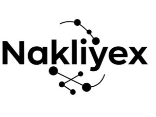 Nakliyex Logo